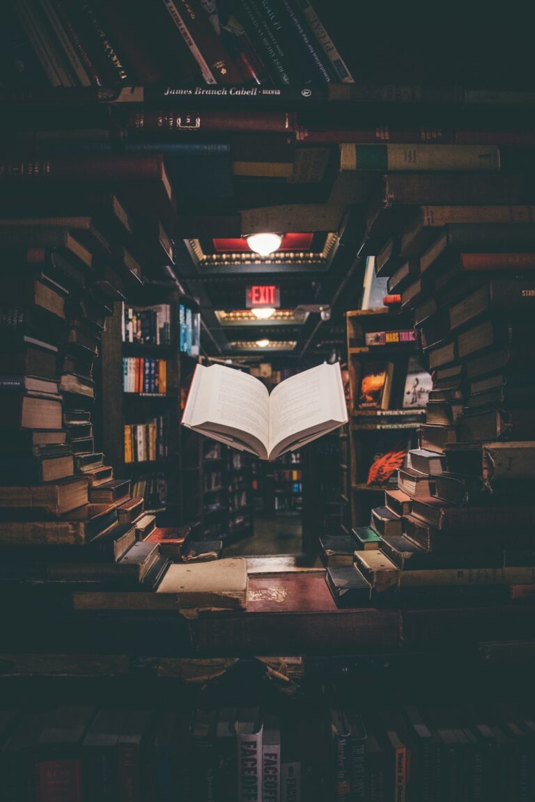 Navigating the Journey of Lifelong Learning